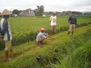 petani-diskusi petani-diskusi