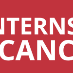 Internship-Widget-Vector