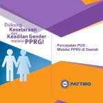 2016.PATTIRO.PPRG
