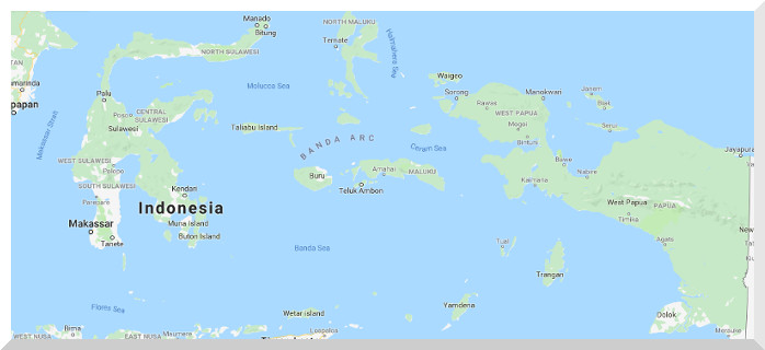 Mendorong Kemandirian Orang Asli Papua (OAP): Usulan Prioritas Pembangunan Papua dalam RPJMN 2020 – 2024