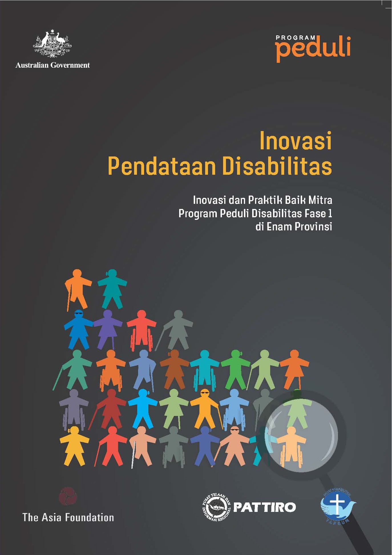 Disability Database Innovation (Review and Good Practices of Peduli Disabilitas Program Partners Phase 1 in Six Provinces)