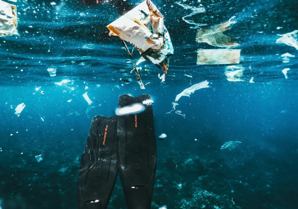 Foto oleh unsplash.com/id/@naja_bertolt_jensen